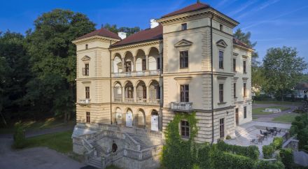 Zdjęcie Willi Decjusza z dalszej perspektywy wśród drzew